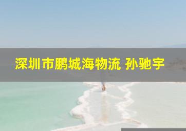 深圳市鹏城海物流 孙驰宇